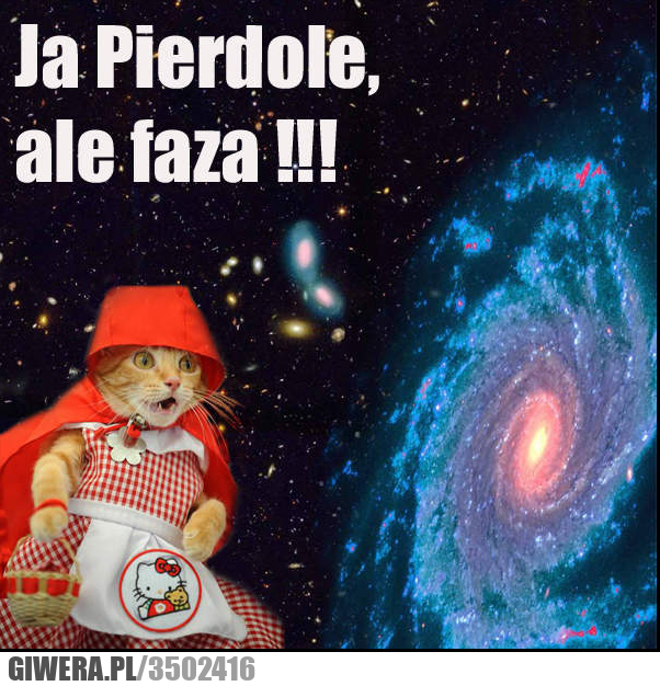 pierdolę